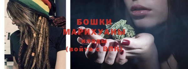 spice Вяземский