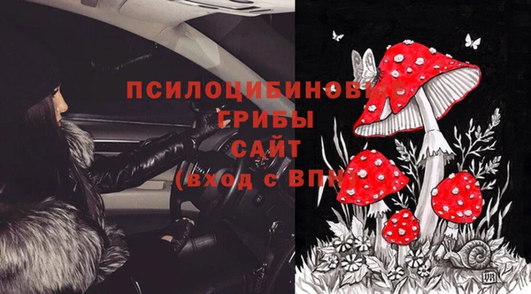 spice Вяземский