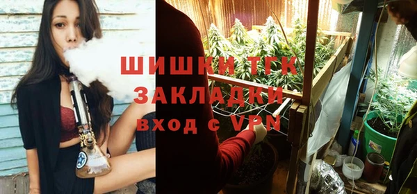 прущие грибы Володарск