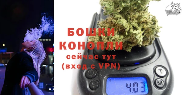 spice Вяземский