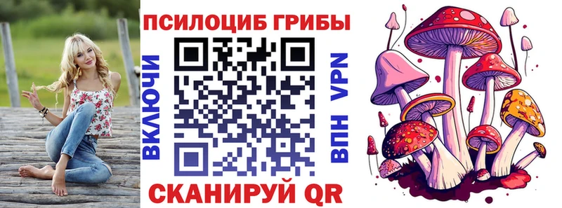 Купить  Колпашево  Псилоцибиновые грибы MAGIC MUSHROOMS 